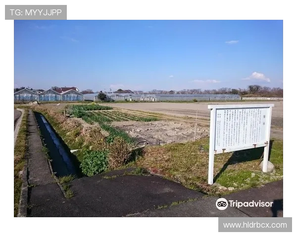 鍒╃墿娴﹂攣瀹氫紛钀ㄥ厠涓洪攱绾跨粓鏋佺洰鏍囷紝1.5 浜块晳璞喘杩涘叆鍏抽敭闃舵